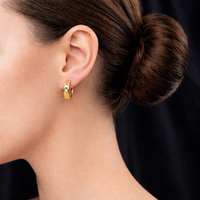 Starry Huggies Earrings