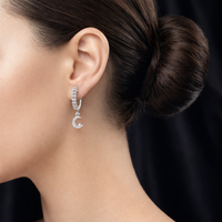 Moon Star Earrings