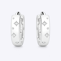 Starry Huggies Earrings